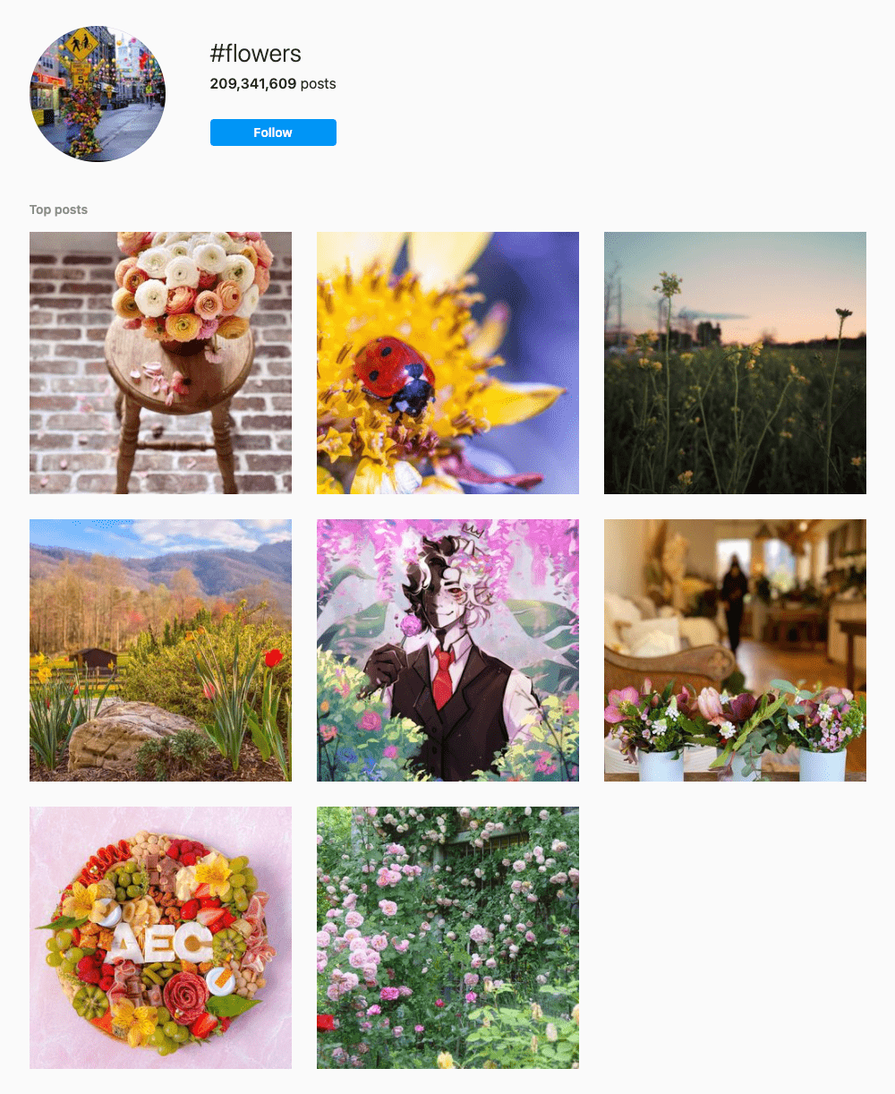 #flowers Hashtags for Instagram